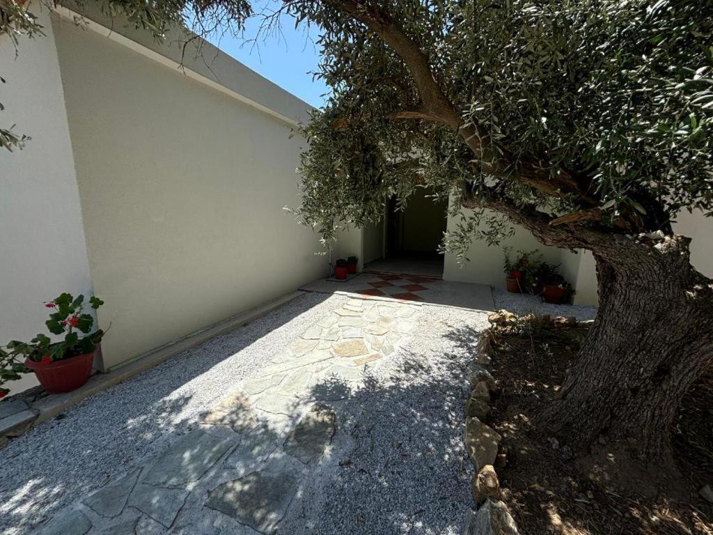 Vila Tierra Skiathos Exteriér fotografie