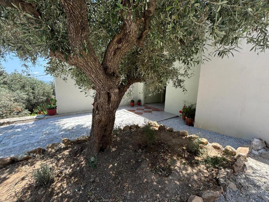 Vila Tierra Skiathos Exteriér fotografie