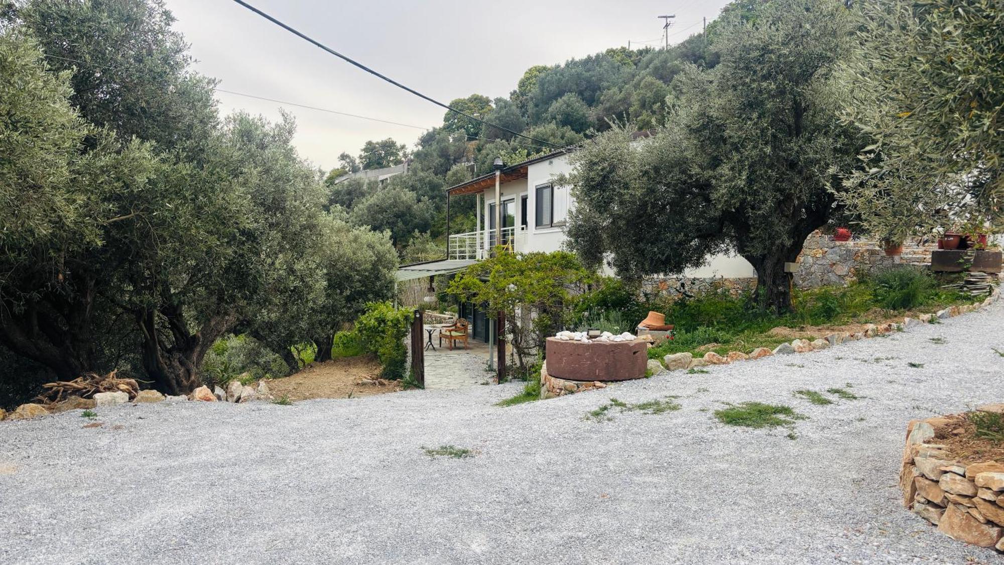 Vila Tierra Skiathos Exteriér fotografie